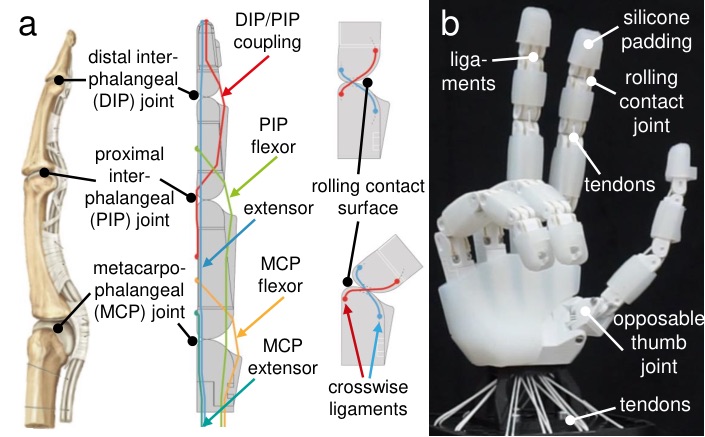 ETH Zurich / Soft Robotics Lab Faive Hand Proto 0