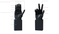 PL-Universe Robotics PL-WitHand