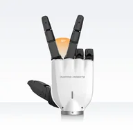 Inspire Robots RH5DG2