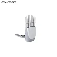 CASBOT Handle L1 Standard