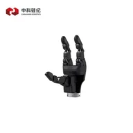 CasiaHand Robotics CASIA HAND G4
