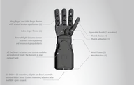Seed Robotics RH6D Child-size Dexterous Robot Hand, L/R