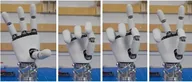 Pollen Robotics / Hugging Face AmazingHand developer kit, L/R