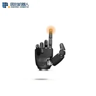 Inspire Robots RH56E2