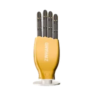 ZWHAND DM20 1.0