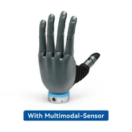 Leadshine DH116 multimodal tactile (suffix -M; L/R)