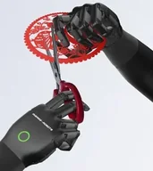 Inspire Robots RH524J1