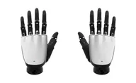 OYMotion ROH-Lite S001