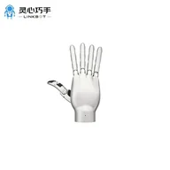 Linkerbot L10 (seller naming; possible L20 Lite alias)