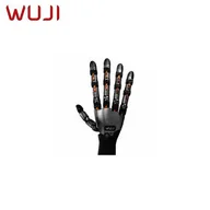 WUJI TECH WUJI Hand 2 Beta 2