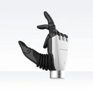 Inspire Robots RH56H1