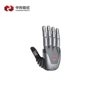 CasiaHand Robotics CASIA HAND X12